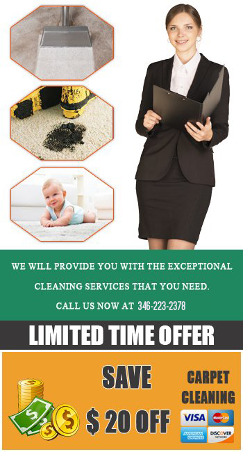 Professional Carpet Cleaners